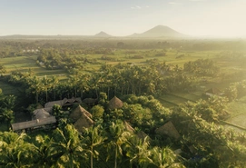 Landscape view of an forest vegetation